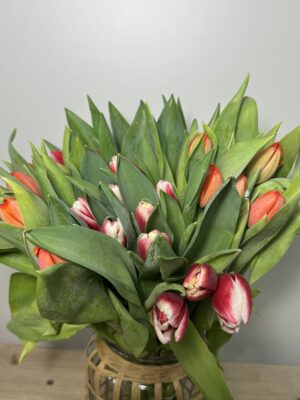 TULIPANES A LA CARTA