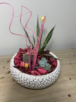 COMPOSICIÓN DE CACTUS CERÁMICA