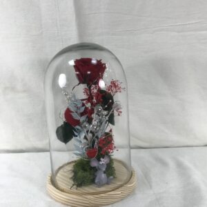 CUPULA ROSA ROJA GRANDE